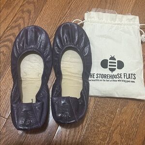 Beautiful Purple Flats with Pouch